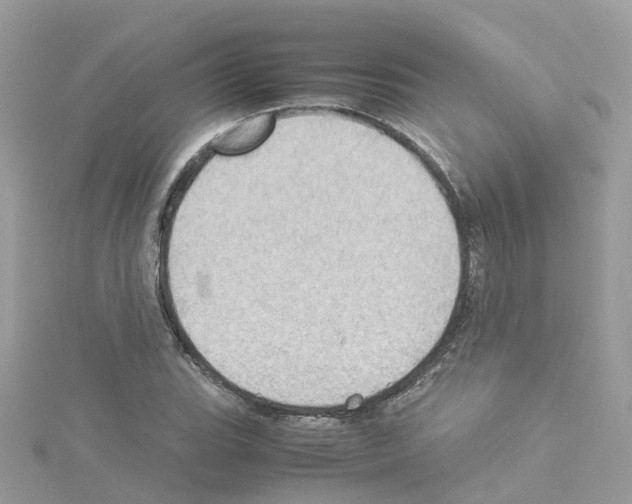 X0000114111119200911161113