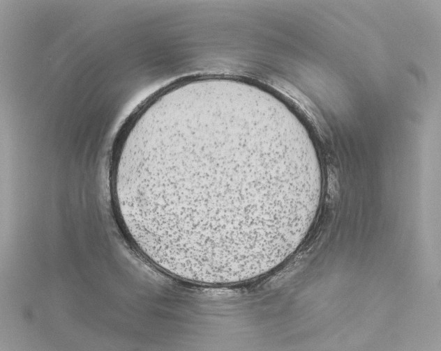 X0000114111120200911161113