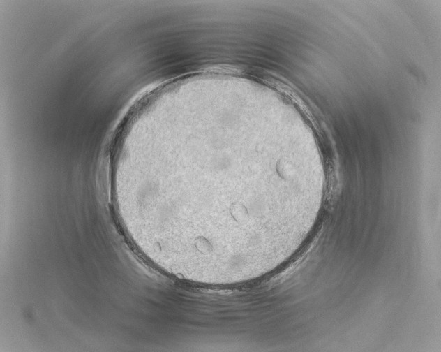 X0000114111123200911161113