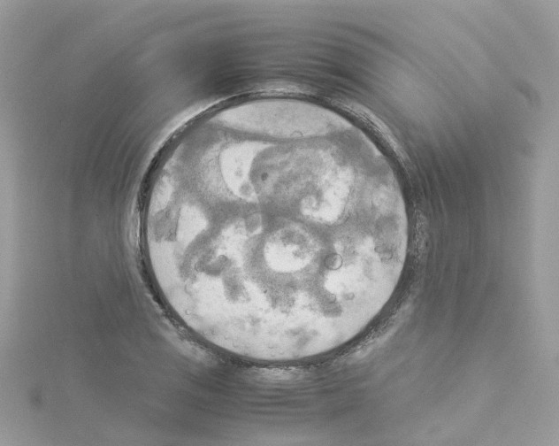 X0000114111125200911161113