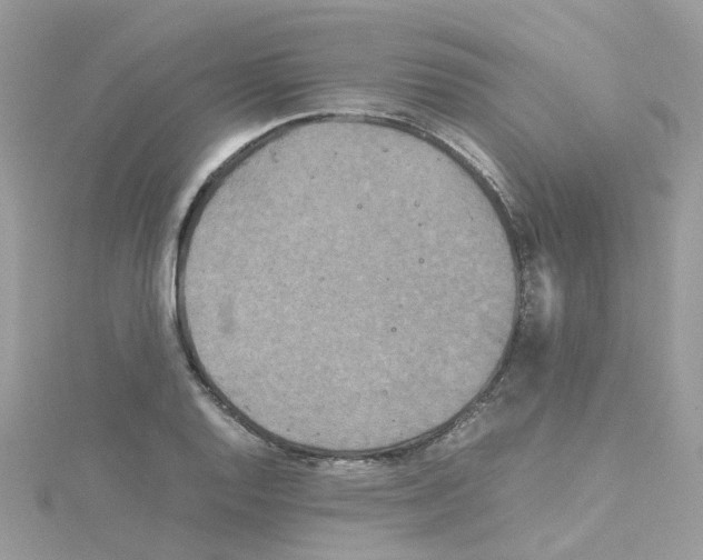 X0000114111128200911161113