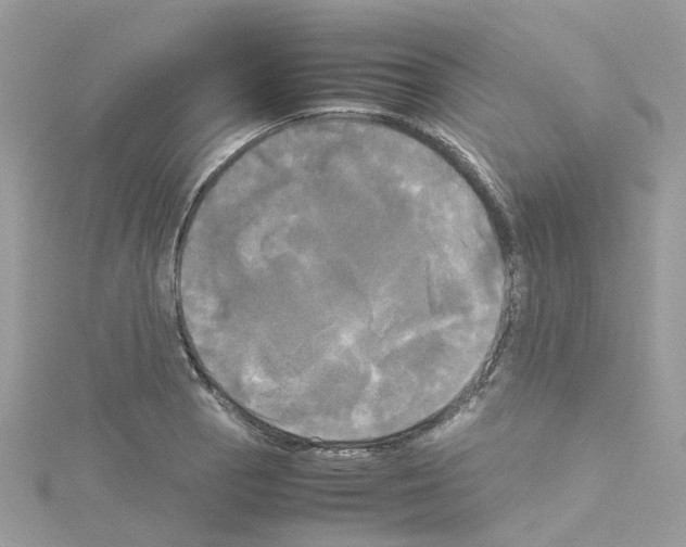 X0000114111129200911161113