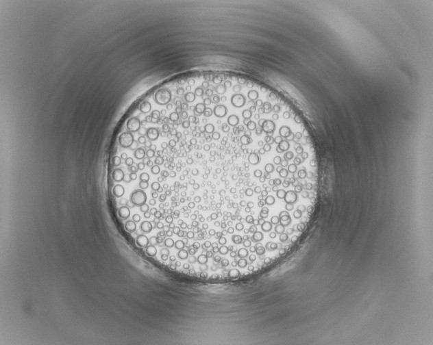 X0000114111130200911161113