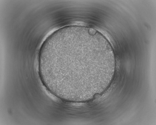 X0000114111131200911161113