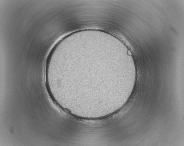 X0000114111132200911161113