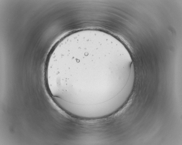 X0000114111134200911161113