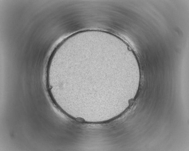 X0000114111136200911161113