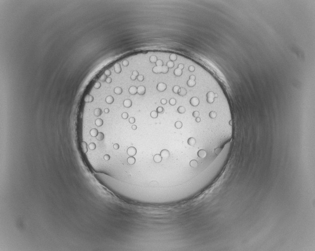 X0000114111138200911161113