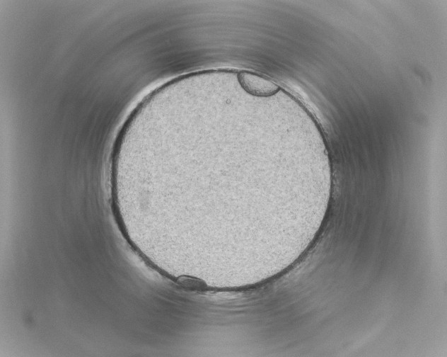 X0000114111140200911161113