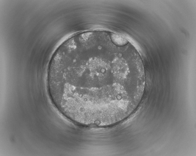 X0000114111142200911161113