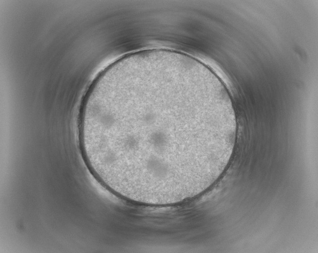 X0000114111143200911161113