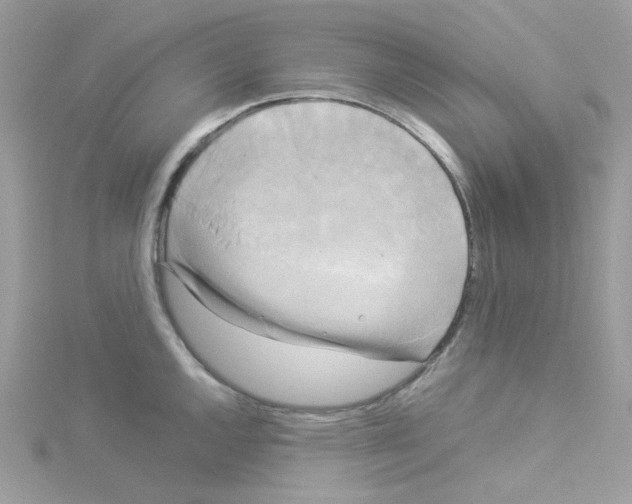 X0000114111144200911161113