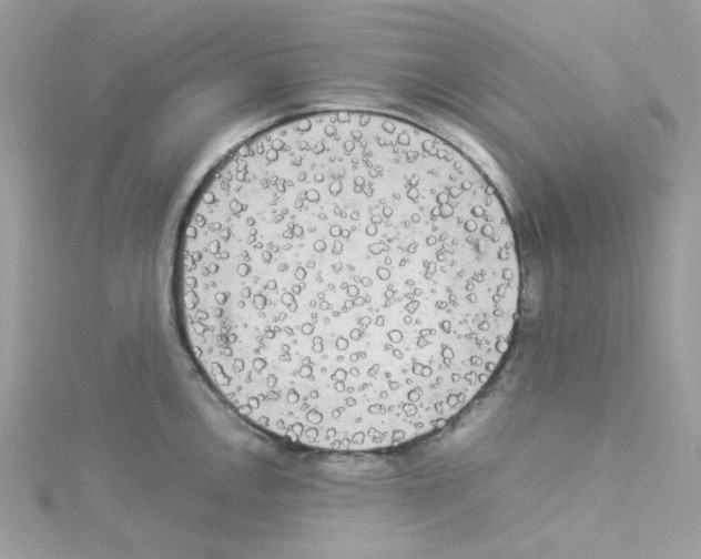 X0000114111146200911161113