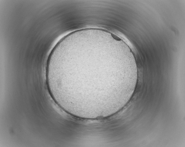 X0000114111148200911161113