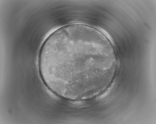 X0000114111149200911161113