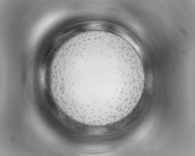 X0000114111150200911161113