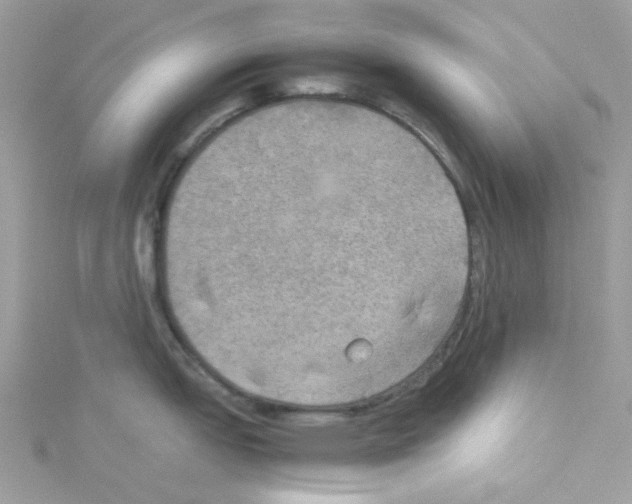 X0000114111151200911161113