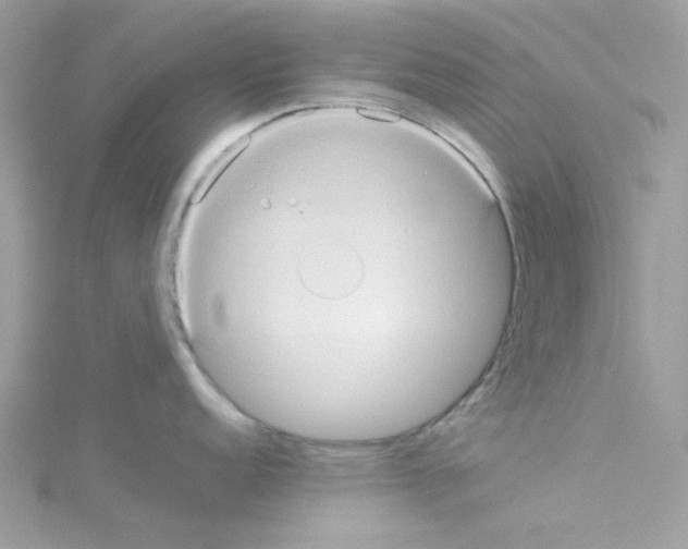 X0000114111152200911161113