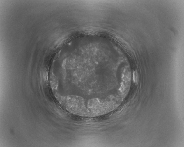 X0000114111155200911161113