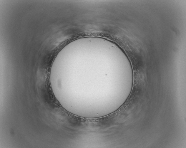 X0000114111157200911161113