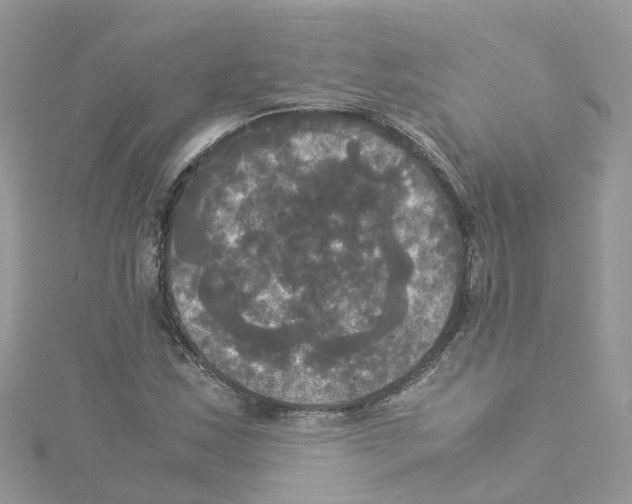 X0000114111163200911161113