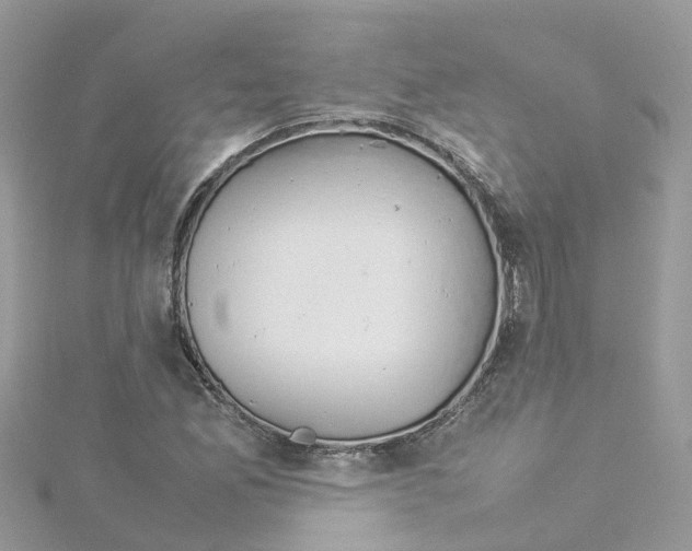 X0000114111165200911161113