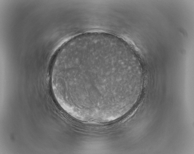 X0000114111167200911161113