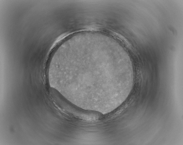 X0000114111168200911161113