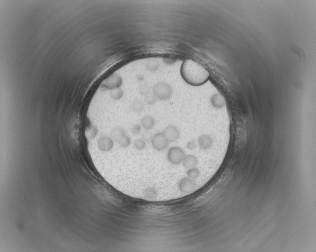 X0000114111170200911161113