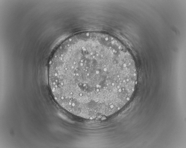 X0000114111171200911161113