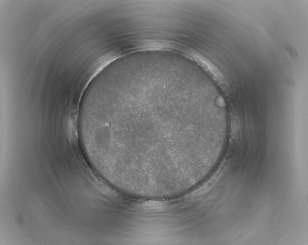 X0000114111178200911161112