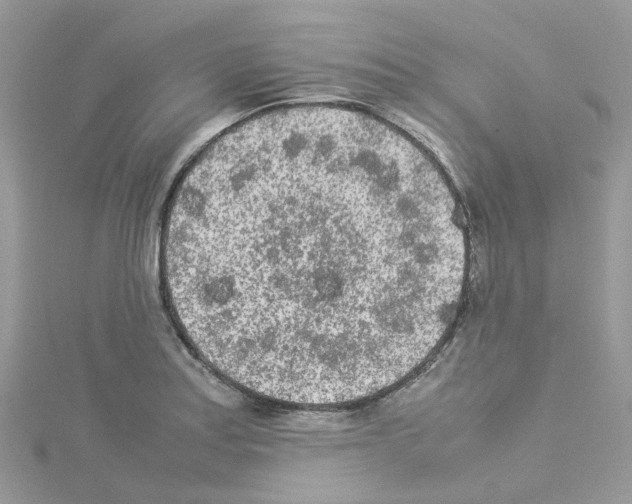 X0000114111179200911161112