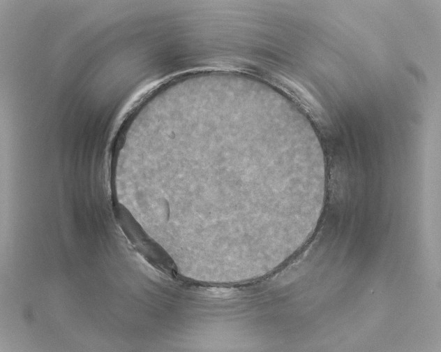 X0000114111180200911161112