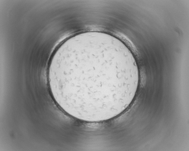 X0000114111182200911161112