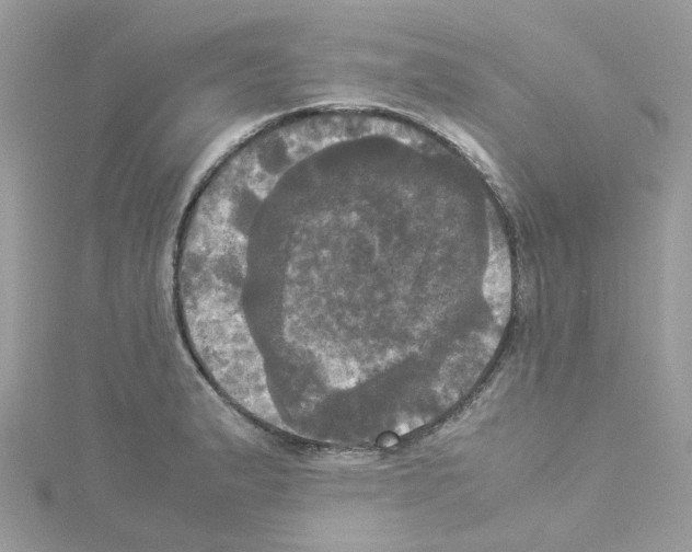 X0000114111183200911161112