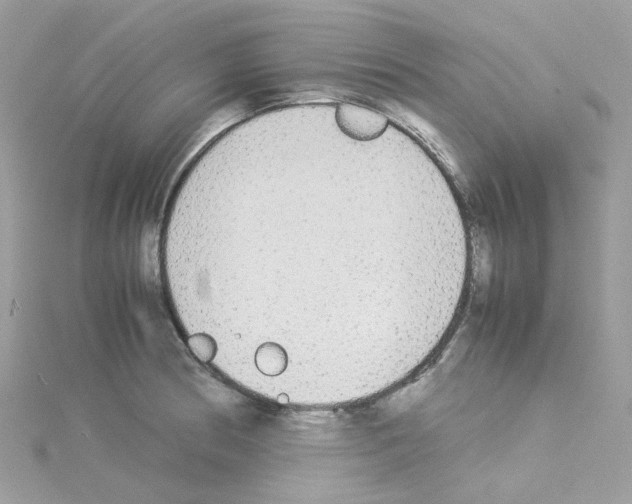 X0000114111186200911161112