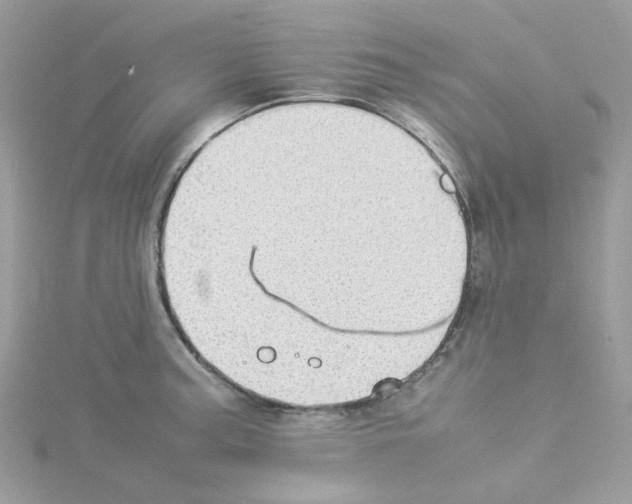 X0000114111187200911161112