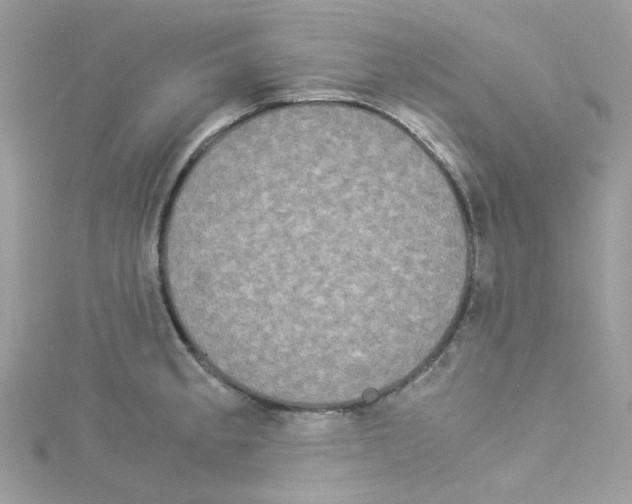 X0000114111189200911161112