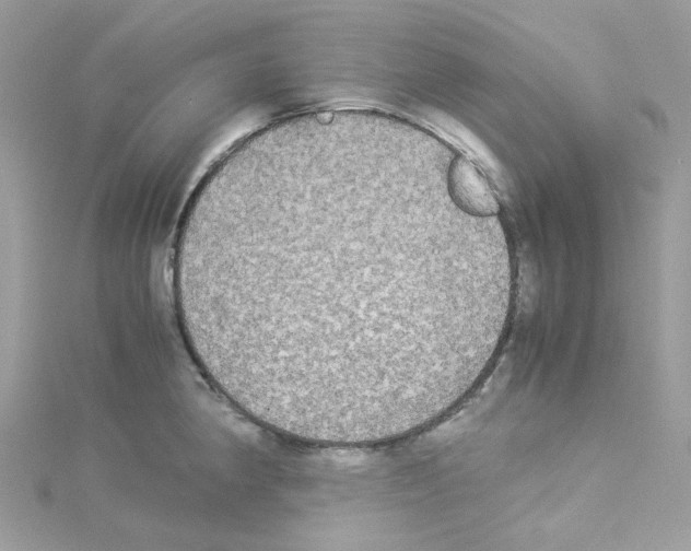 X0000114111190200911161112