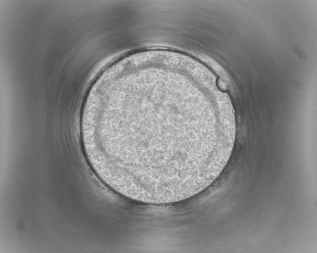 X0000114111191200911161112