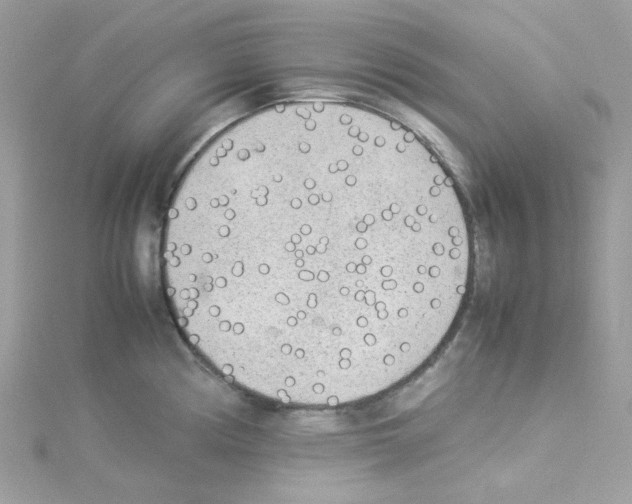 X0000114111194200911161112