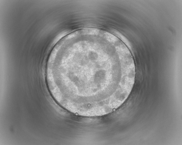 X0000114111195200911161112