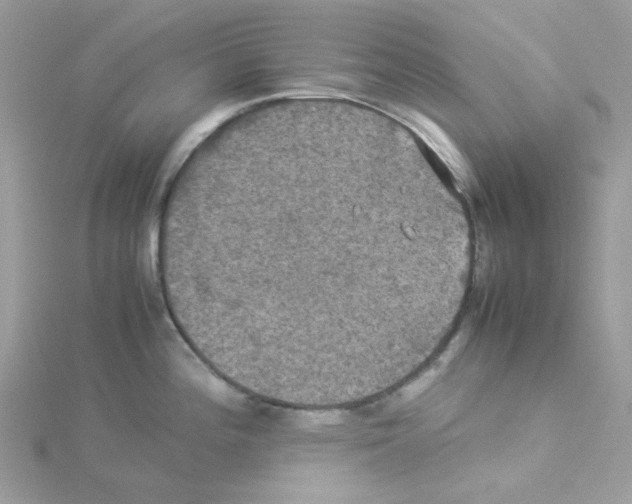 X0000114111196200911161112