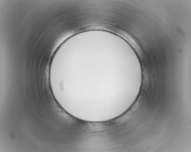 X0000114111198200911161112