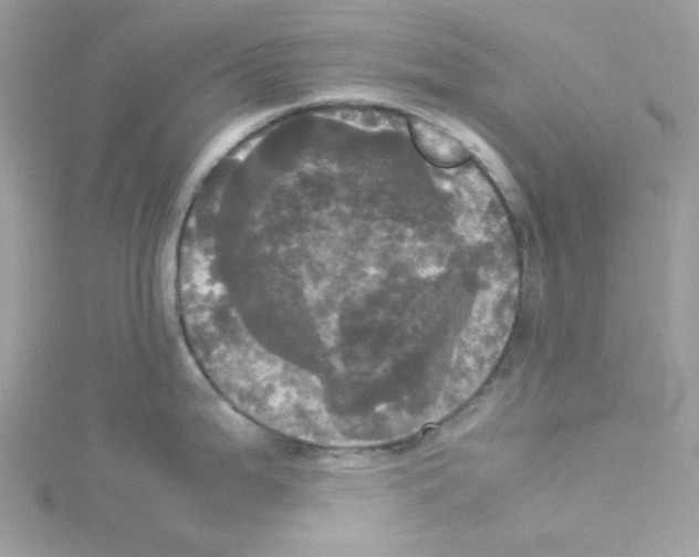 X0000114111199200911161112