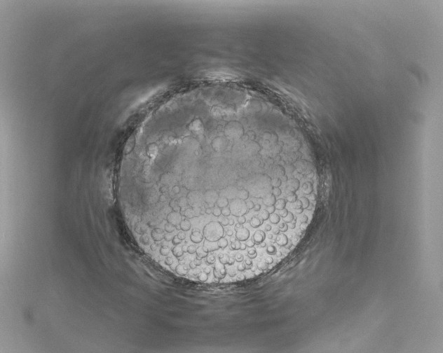 X0000114111205200911161112