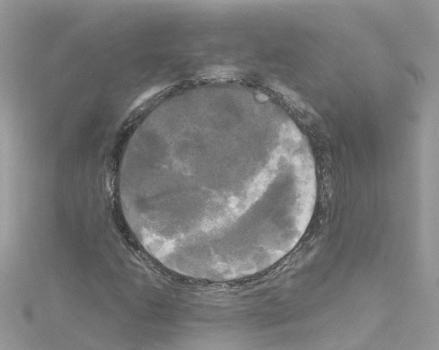 X0000114111206200911161112