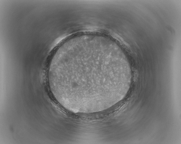 X0000114111208200911161112