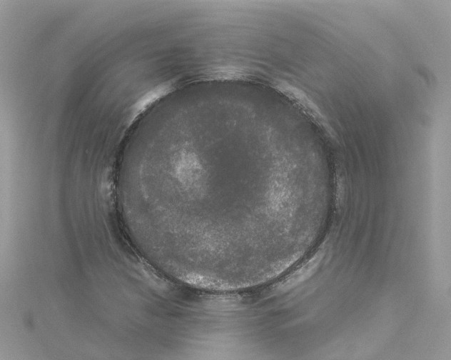 X0000114111210200911161112