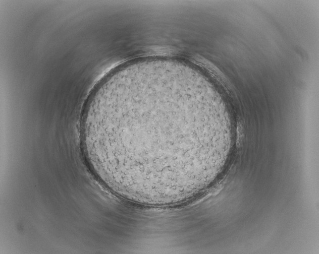 X0000114111212200911161112